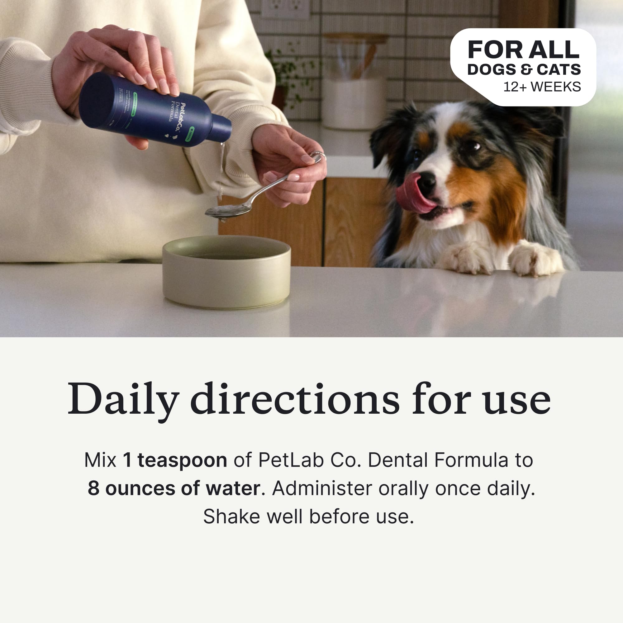 PetLab Co bouteille additif eau dentaire prêt à l'emploi.