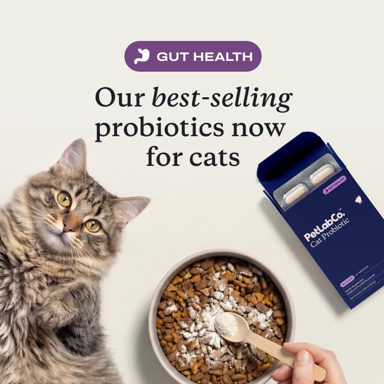 PetLab Co Probiotiques chat – capsule-poudre, dosage simple pour la digestion.