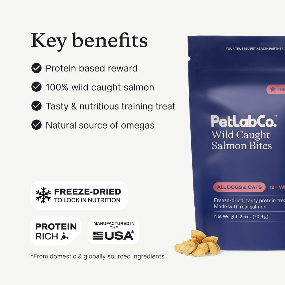 compatibilité petlab co avec probiotiques, duo idéal pour une routine friandise