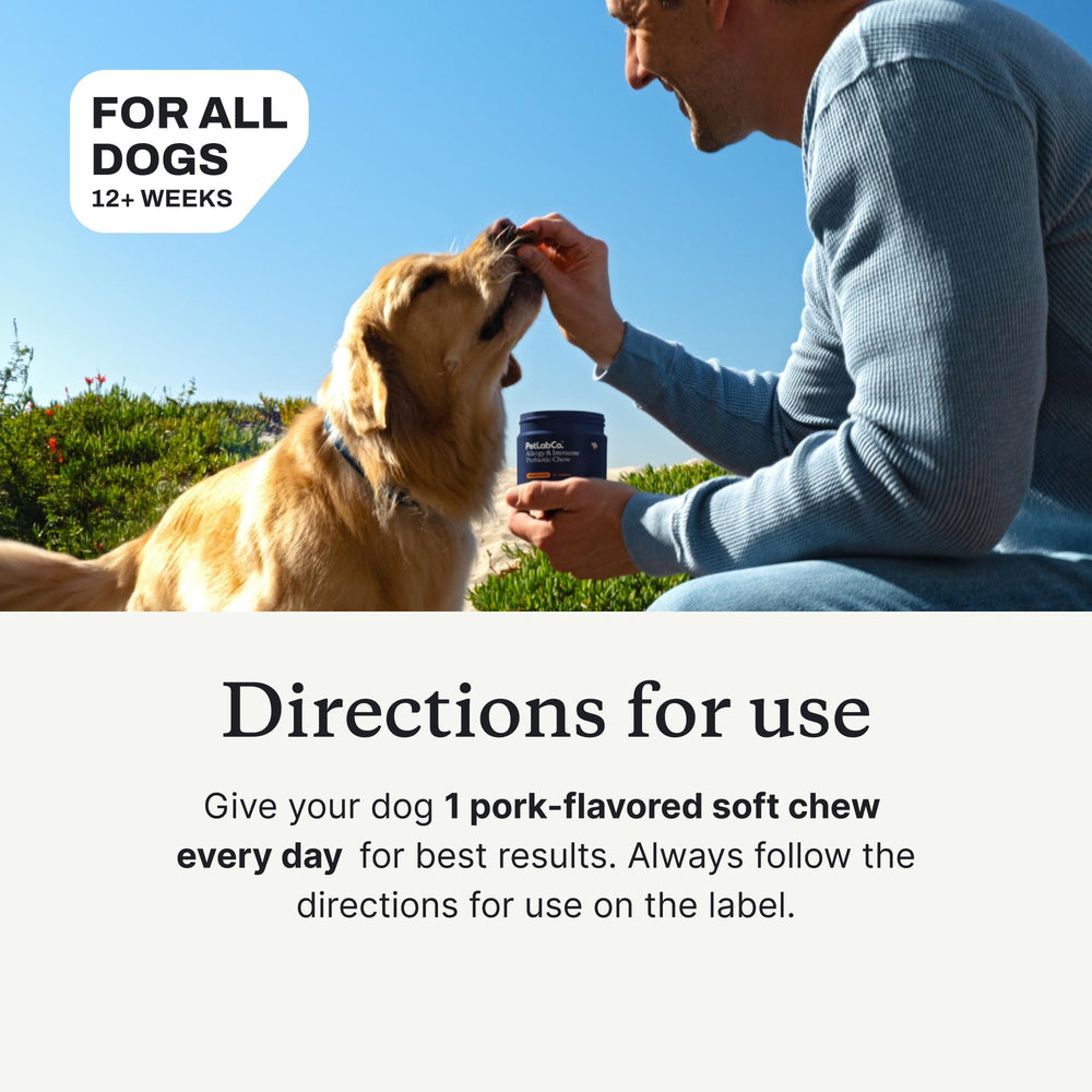 PetLab Co Friandises probiotiques chien – utilisation quotidienne simple.