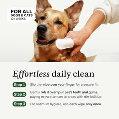 PetLab Co. – ingrédients premium coco aloé vera et polyphénols pour fraîcheur naturelle.