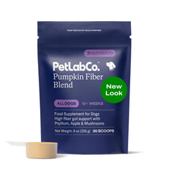 PetLab Co. Poudre fibre citrouille chien: soutien digestif naturel