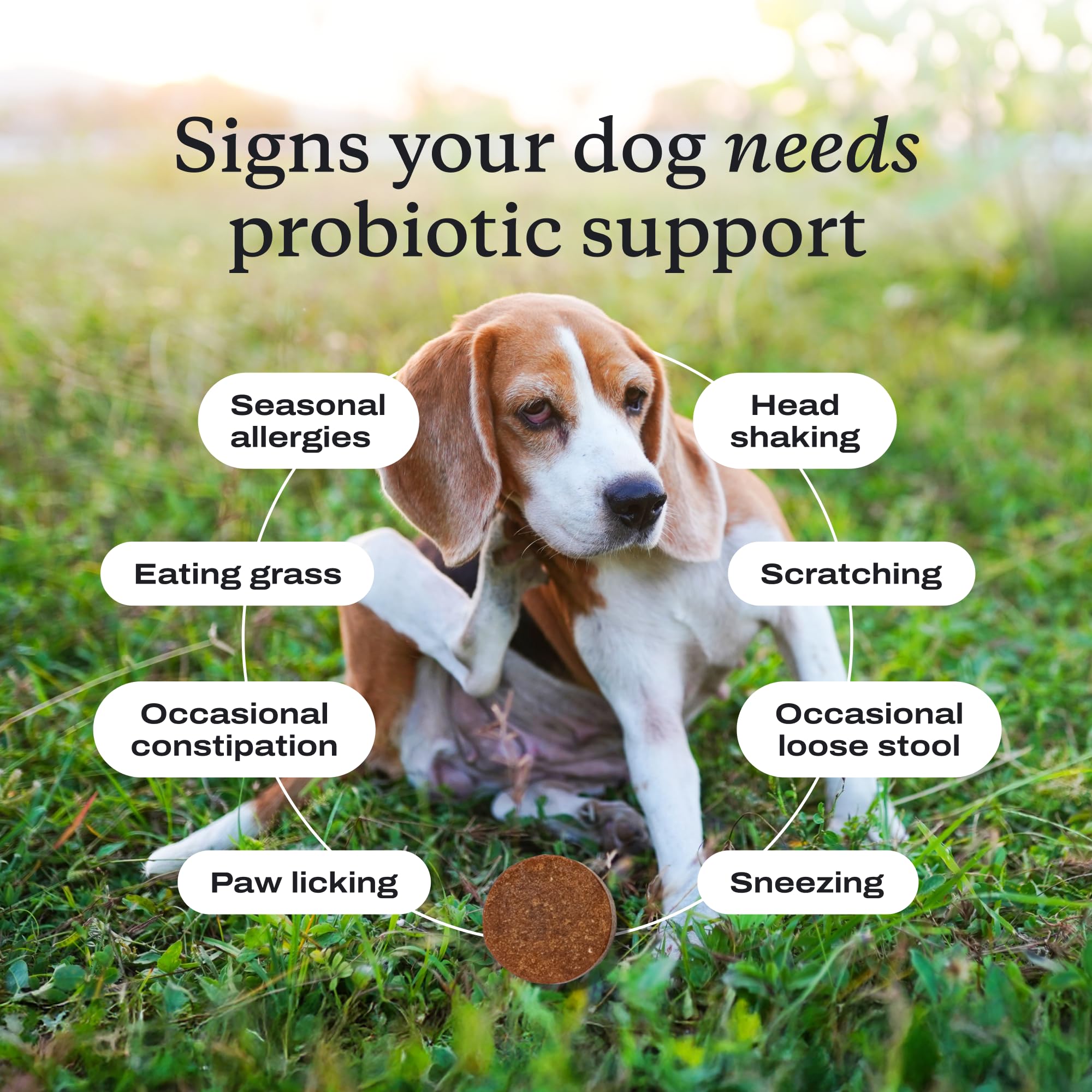 PetLab Co Probiotiques chien – soutien allergies saison et peau saine