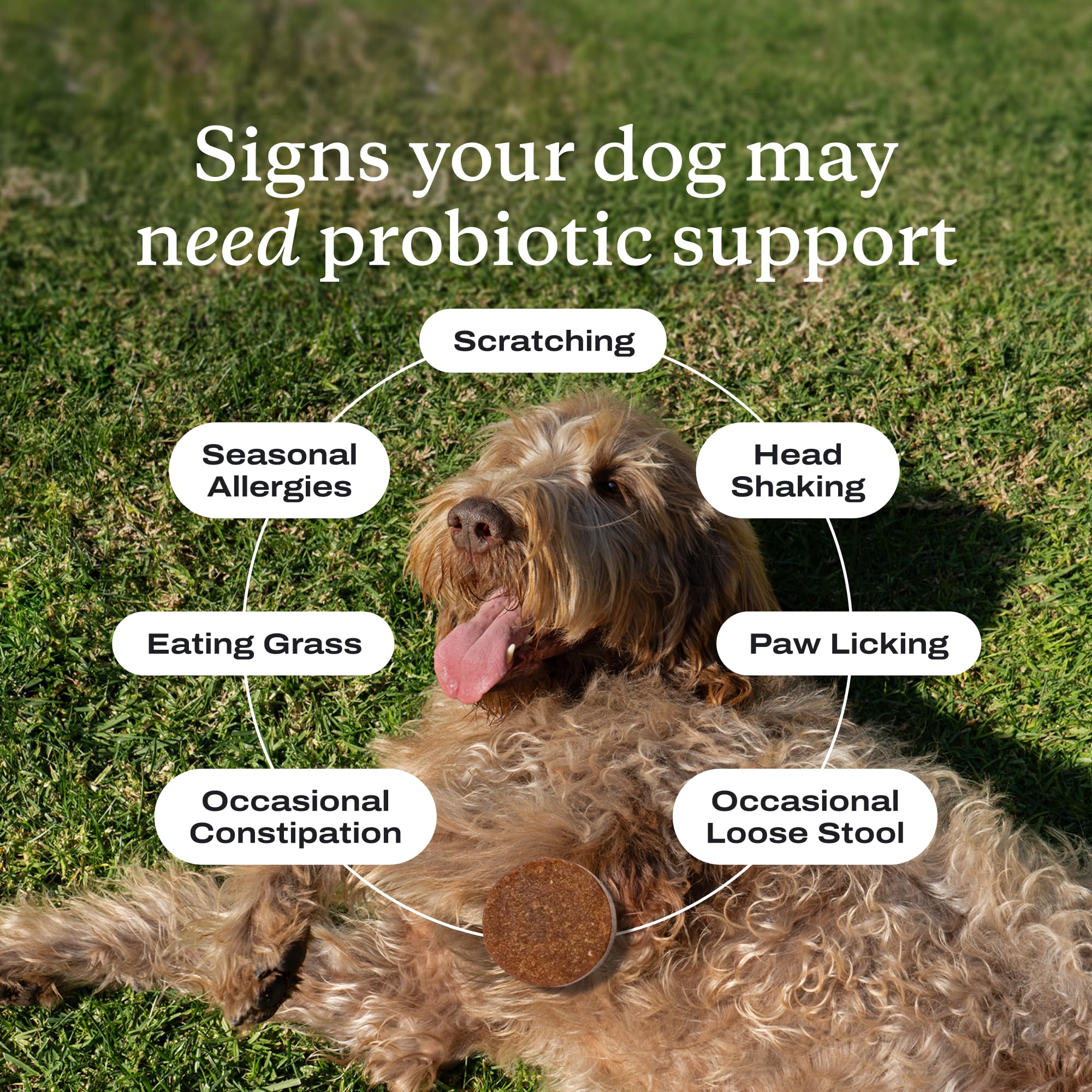PetLab Co Probiotiques pour chiens: boîte-probiotiques montrant les 8 souches bénéfiques.