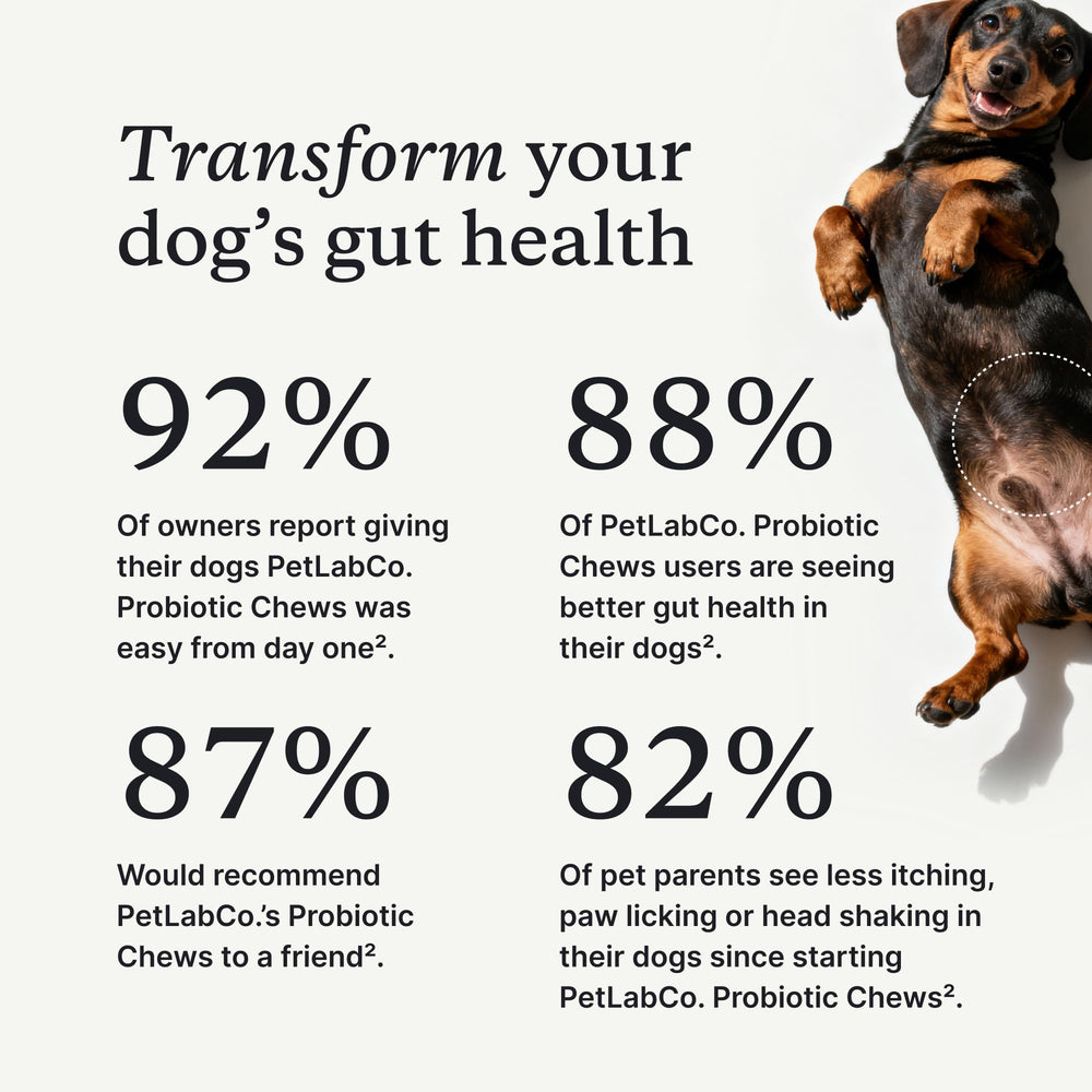 PetLab Co Probiotiques pour chiens: emballage pratique facilitant l’usage journalier.