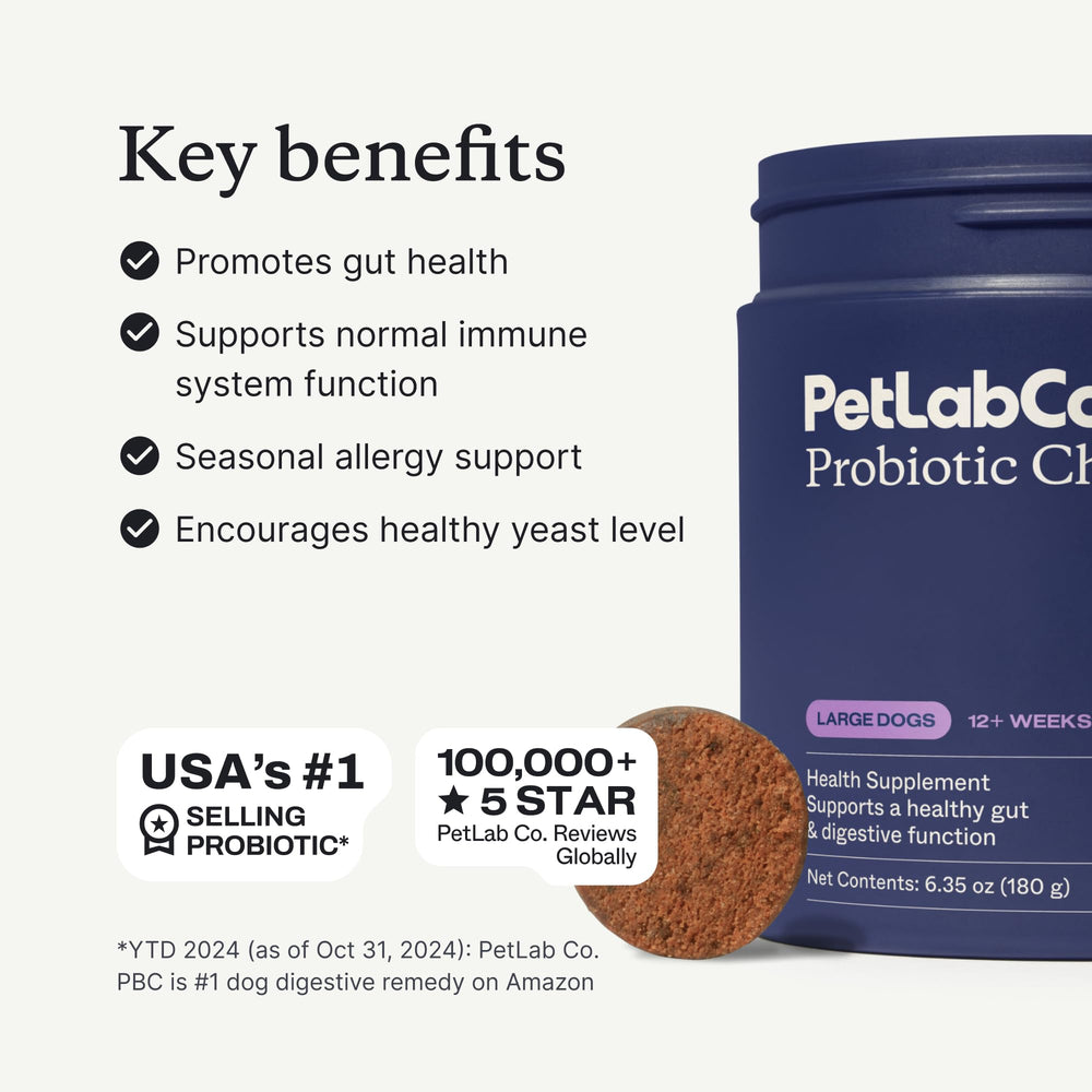 PetLab Co. Probiotiques pour chien, saveur porc, renforçant l'appétence et le transit.