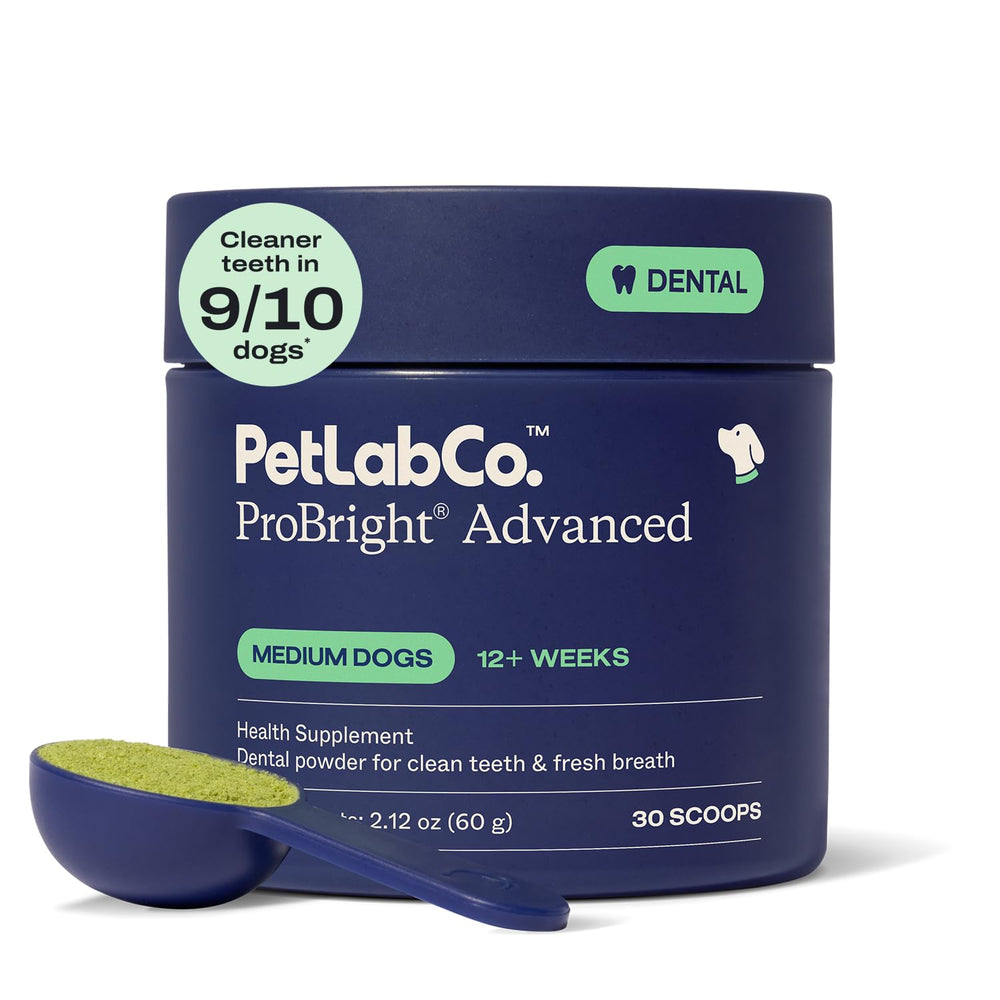 ProBright de PetLab Co, poudre dentaire chien format moyen, aide à une haleine plus fraîche.
