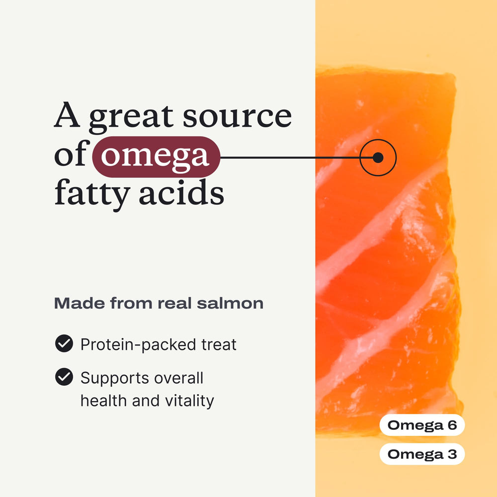 PetLab Co. Salmon Bites, goût saumon savoureux lors des séances d’entraînement.