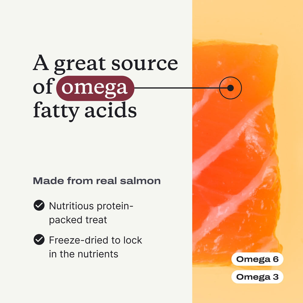 saumon sauvage riche en acides gras et vitamines, pour un pelage sain