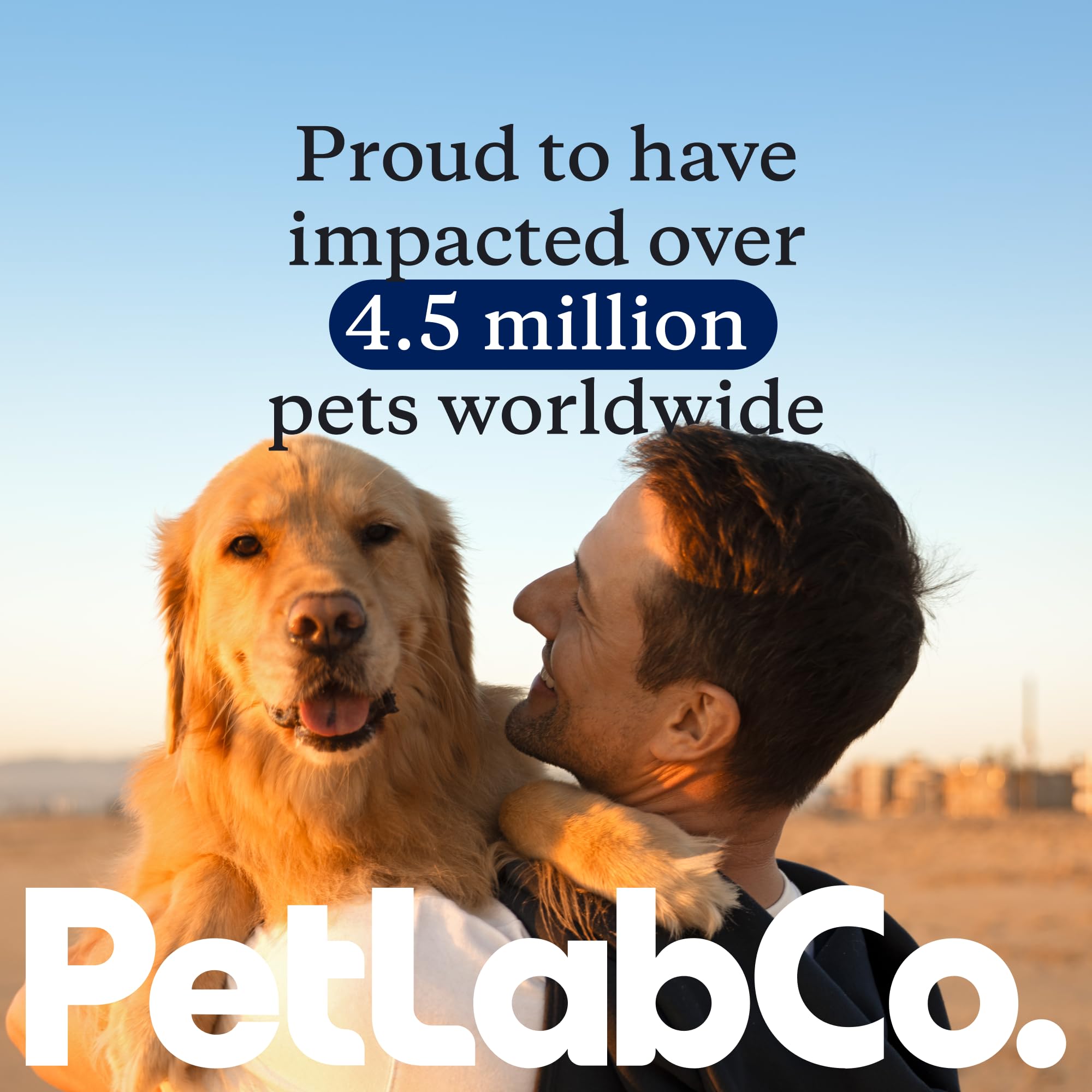 PetLab Co utilisation quotidienne, favorise une routine saine pour chien.