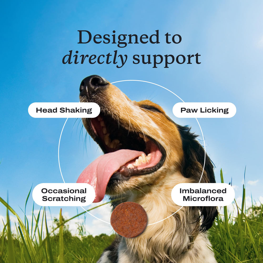 Ingrédients premium PetLab Co – oméga, huile de bourrache, krill et vitamine E.