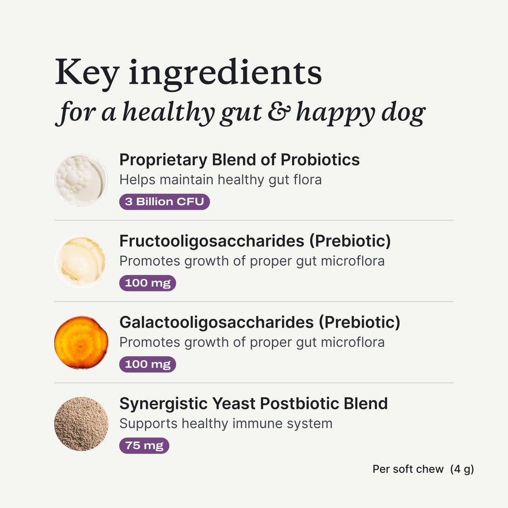 PetLab Co Probiotiques – allergies saisonnières: potentiel confort cutané.