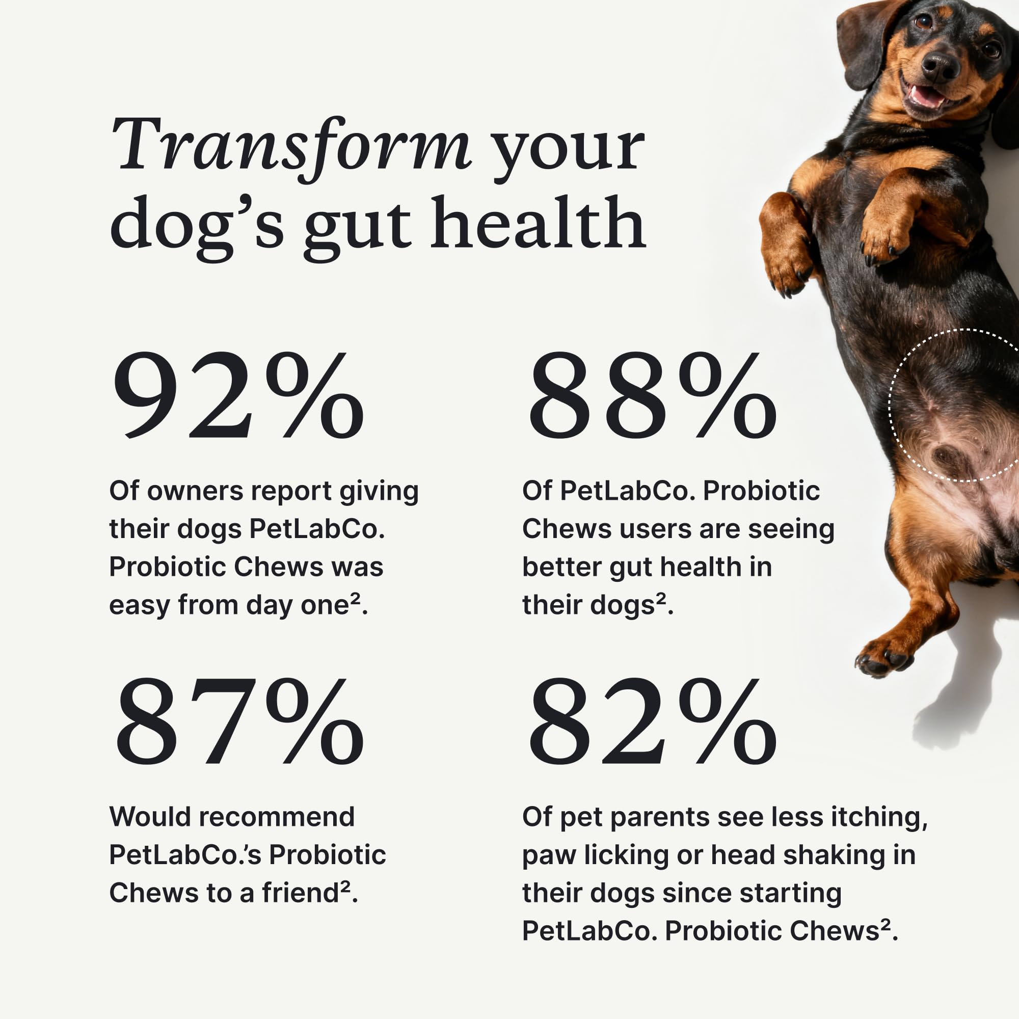 PetLab Co Probiotiques pour chien – bouchées souples: plaisir quotidien et équilibre intestinal.