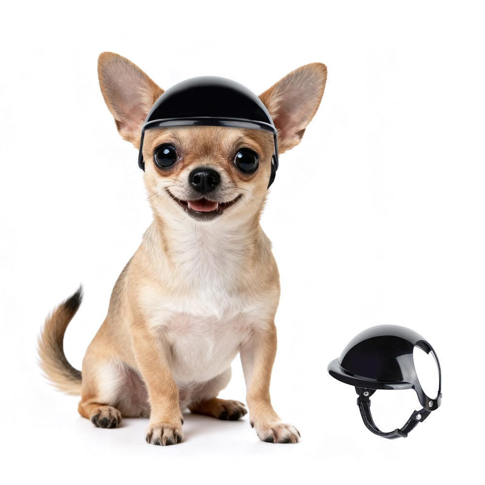 Casque PETLESO XS pour chien en ABS, protection légère pour petites têtes