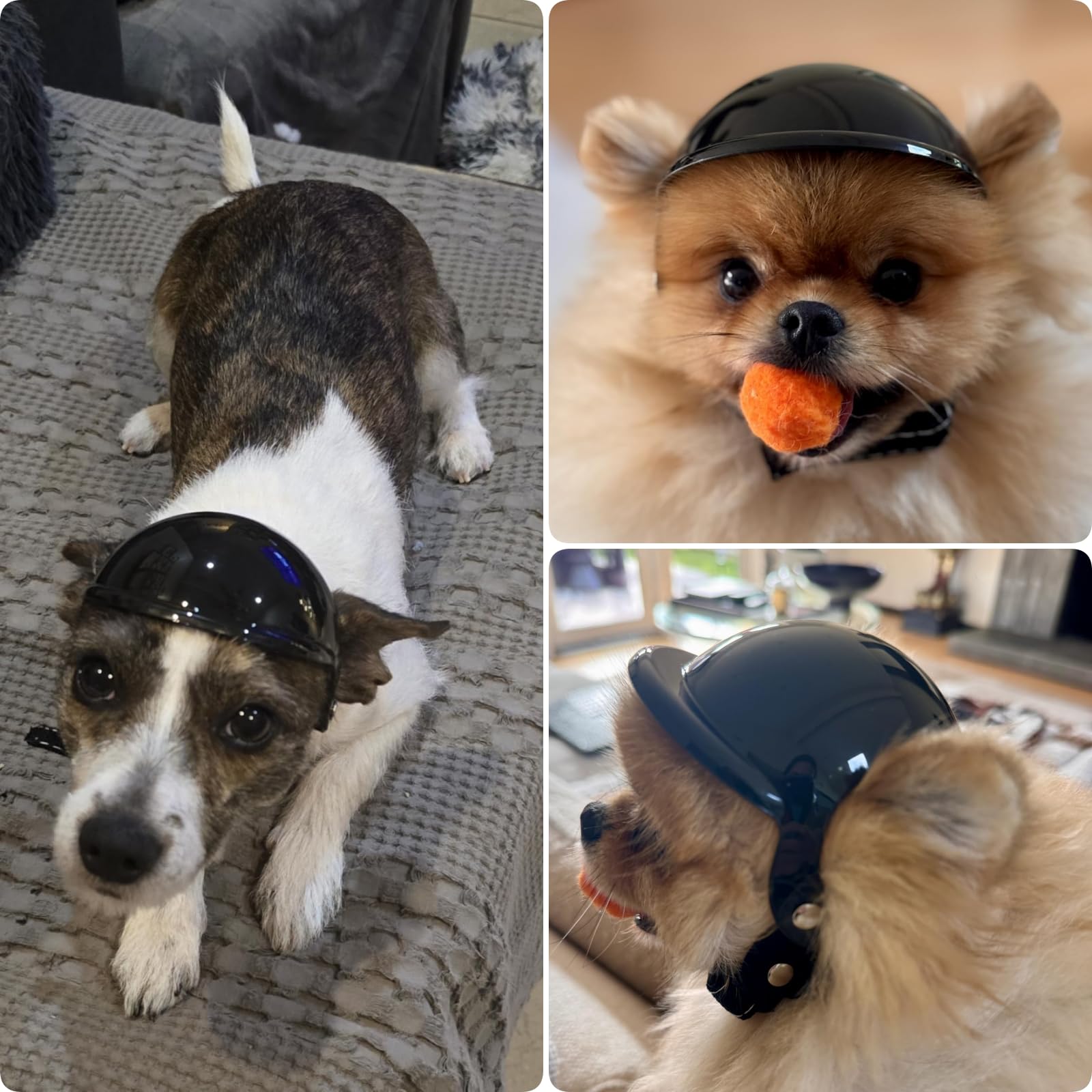 Idéal pour chats et petits chiens grâce à XS et design léger