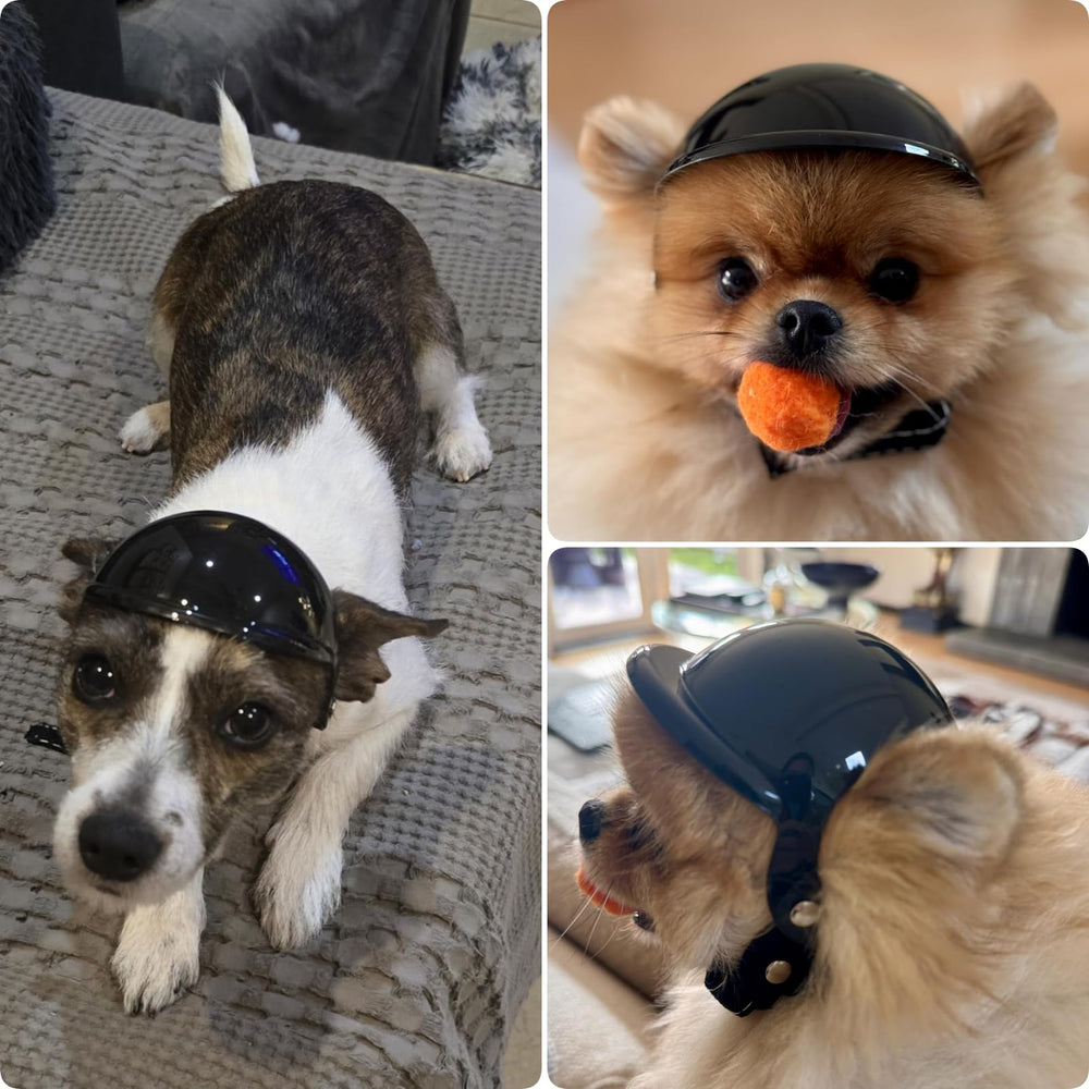 Idéal pour chats et petits chiens grâce à XS et design léger