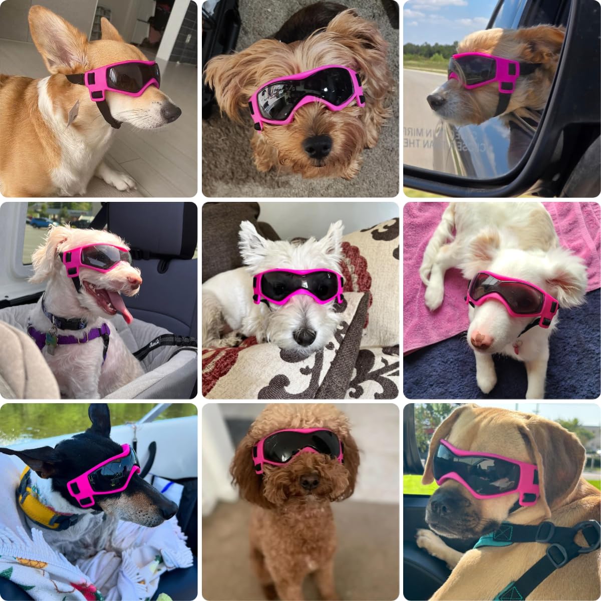 Lunettes PETLESO pour chien, design incurvé pour un ajustement fiable.