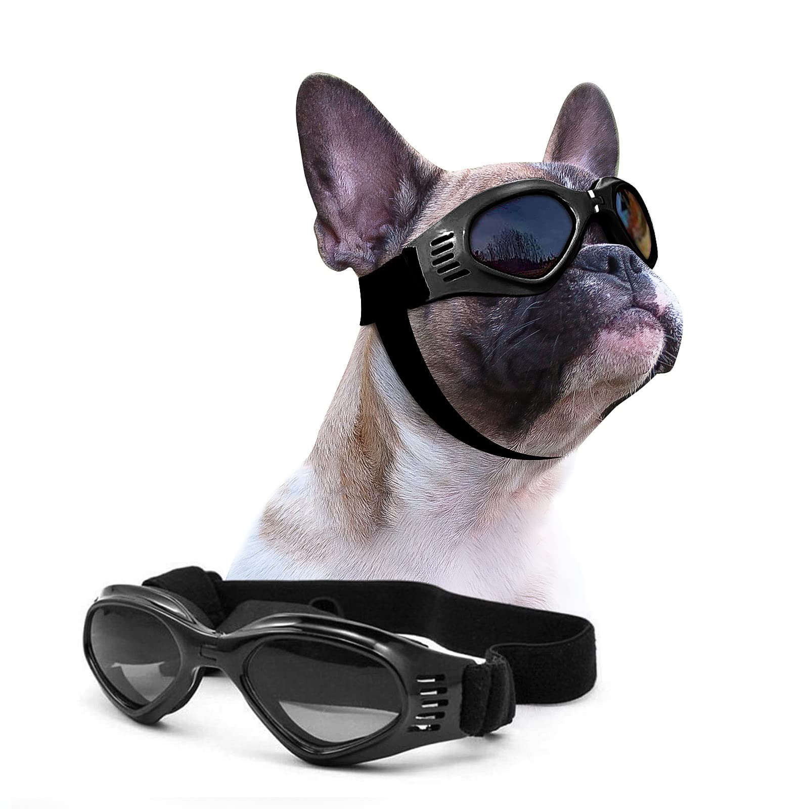 Petleso Lunettes chien face avant – protection et clarté lors des sorties quotidiennes