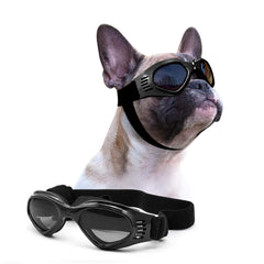 Petleso Lunettes chien face avant – protection et clarté lors des sorties quotidiennes