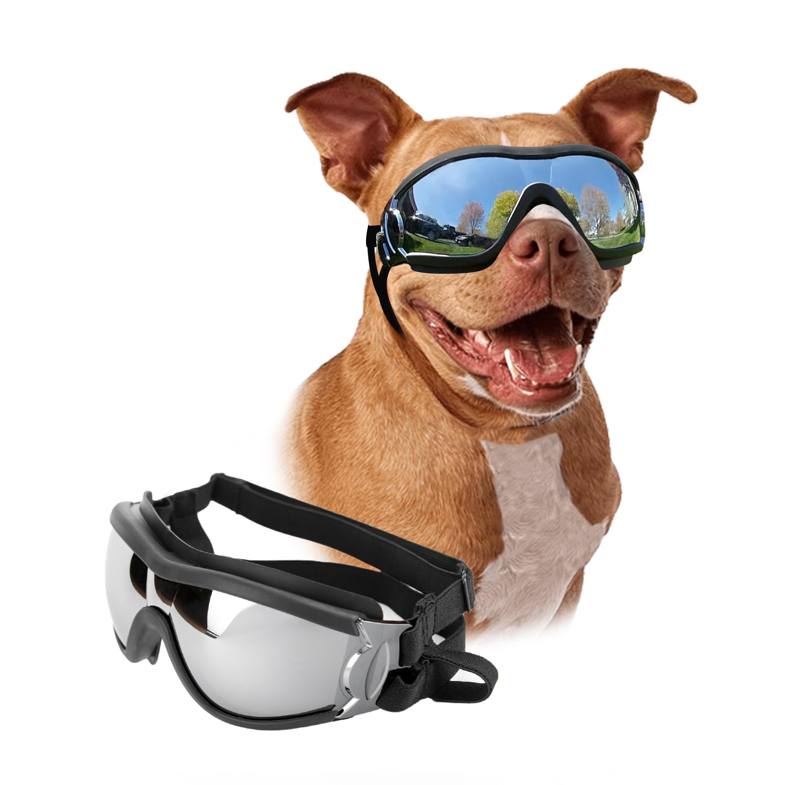 PETLESO lunettes chien grande taille pour vélo, protection contre le vent.