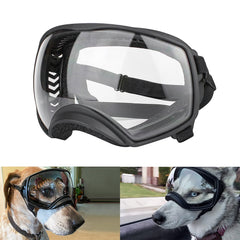 Lunettes PETLESO pour chien grandes avec verre clair pour une vue dégagée.