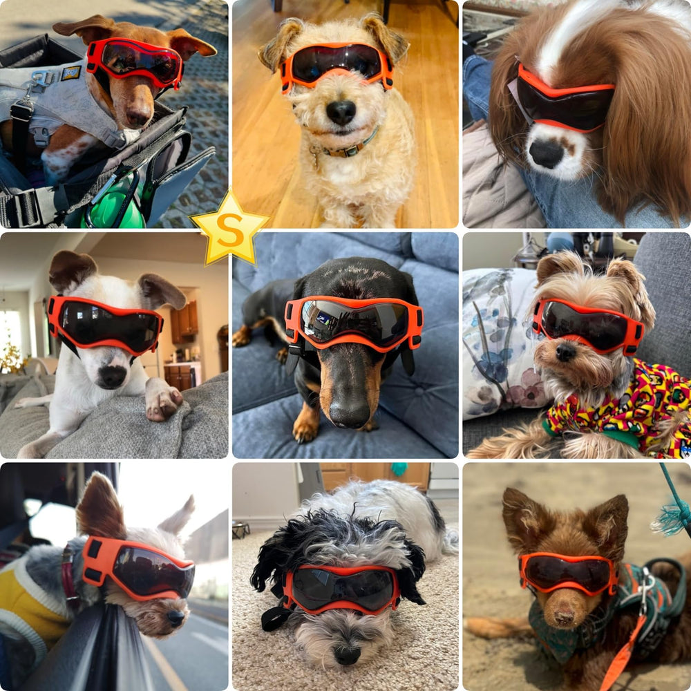 PETLESO lunettes chien petit, guide de mesure pour une taille adaptée.