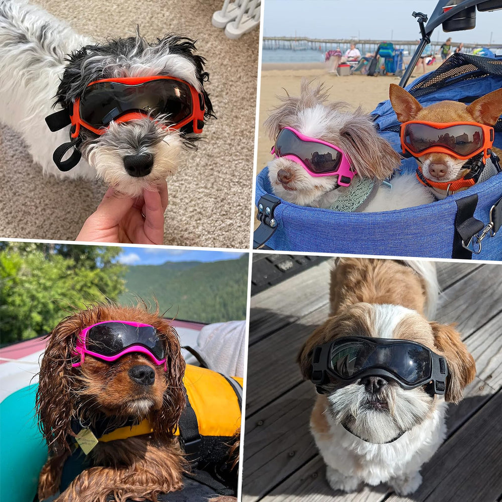 PETLESO lunettes chien petit, sangle ajustable pour un maintien sûr sur la tête.