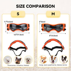 PETLESO lunettes chien petite race, verre polycarbonate protégeant UV et vent.
