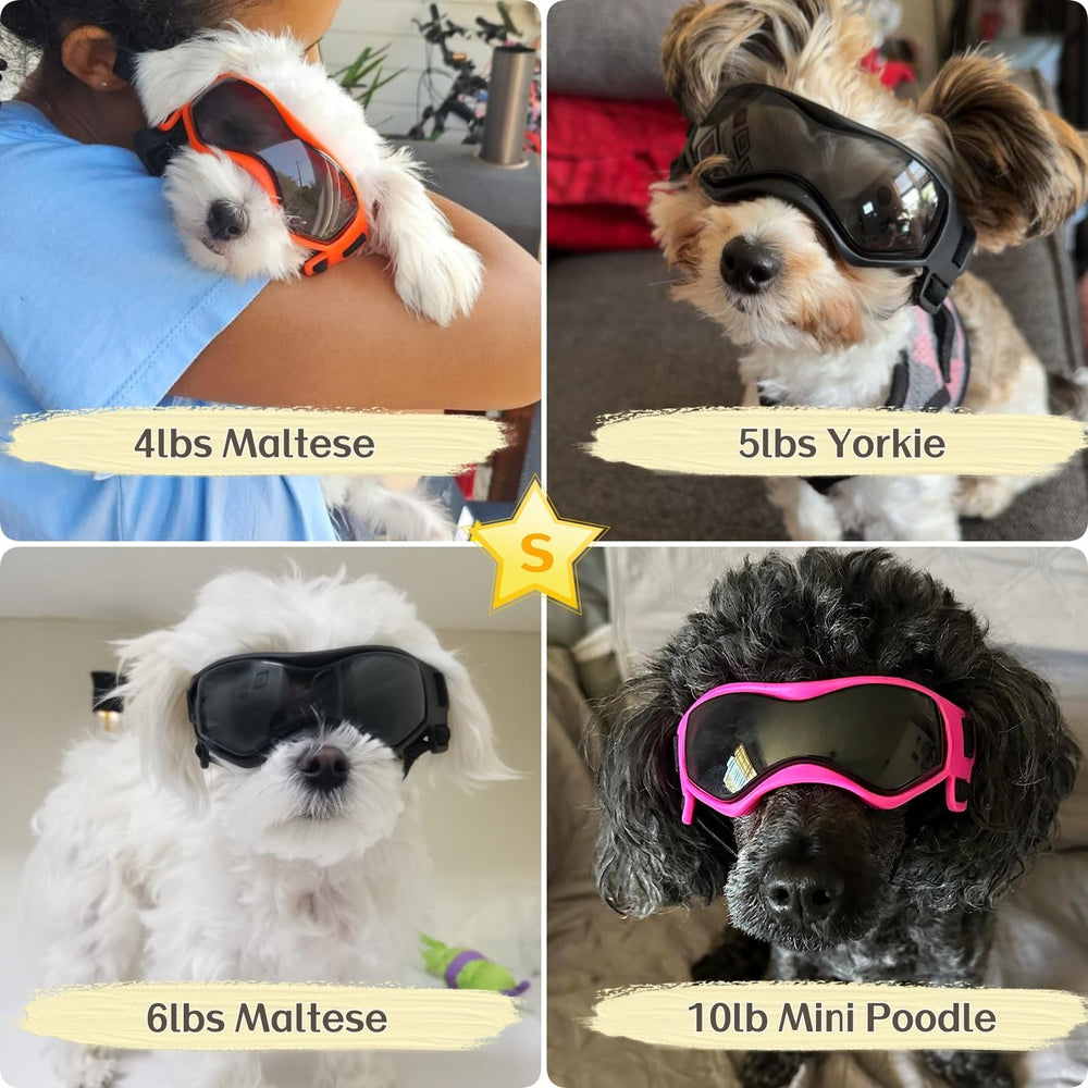 PETLESO usage en extérieur pour chien aventureux.