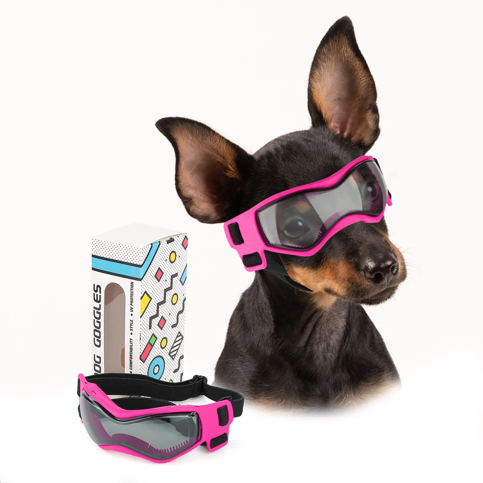 Lunettes PETLESO pour chien de petite race, protection efficace du visage.