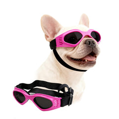 Lunettes PETLESO pour chien roses protègent du vent et des UV lors des promenades.