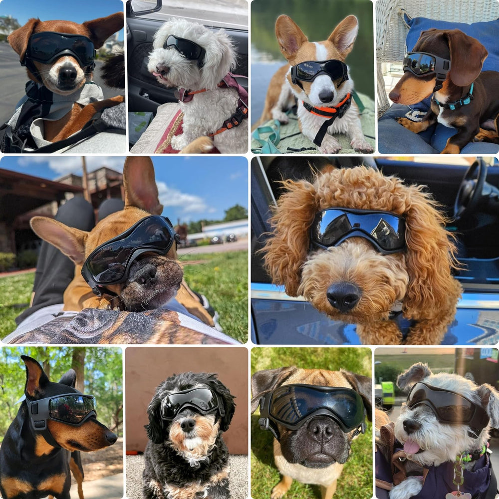 Lunettes PETLESO pour chien, verre courbe, couvre bien le contour des yeux.