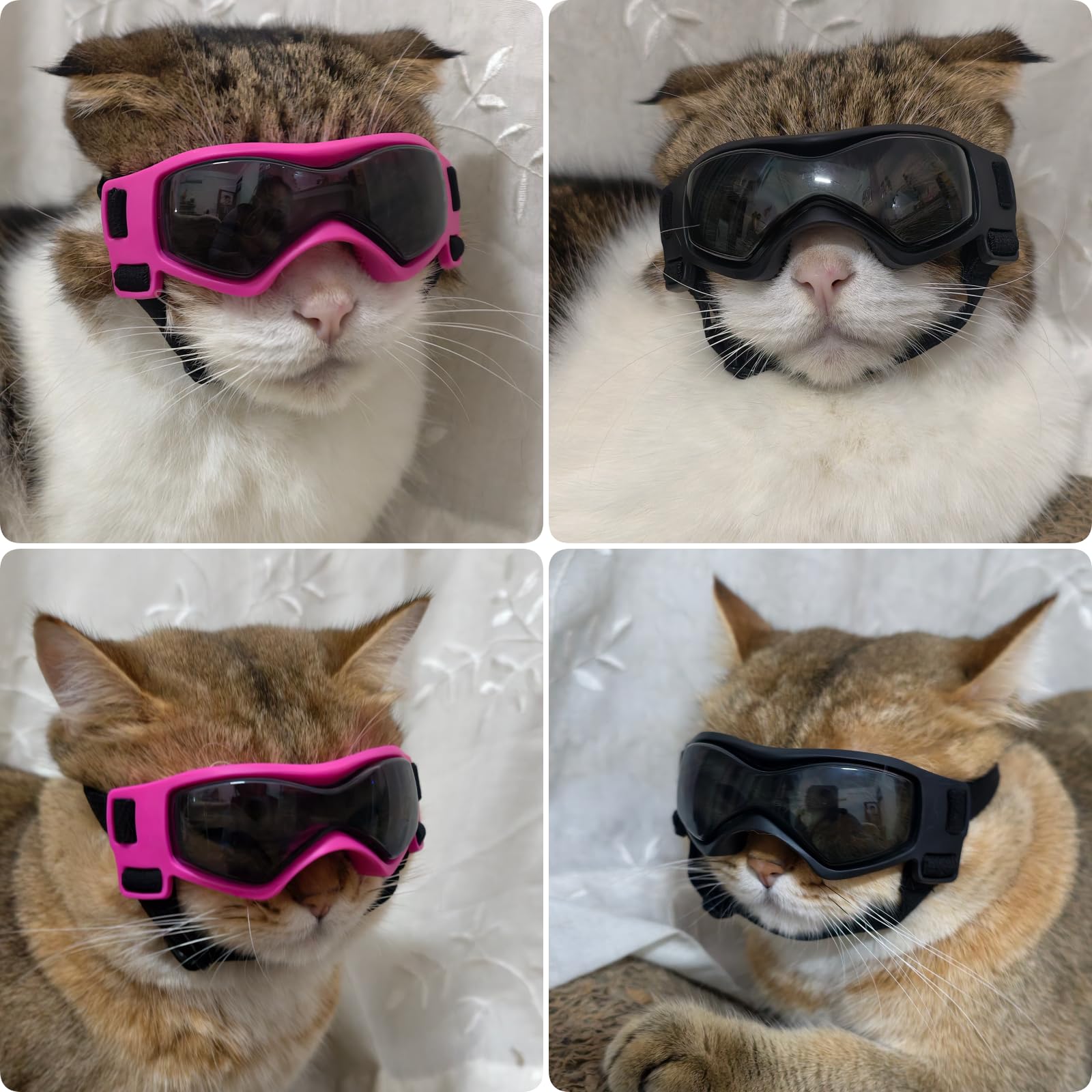 Lunettes PETLESO pour chien XS, lentilles incurvées épousant le museau pour un ajustement confortable.