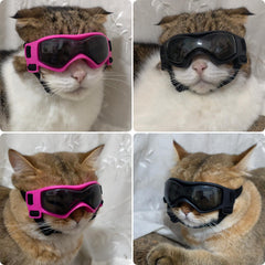 Lunettes PETLESO pour chien XS, lentilles incurvées épousant le museau pour un ajustement confortable.