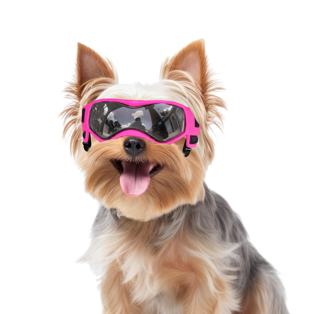 PETLESO lunettes-protection-chien-petit-rose-UV, réglables pour confort en extérieur