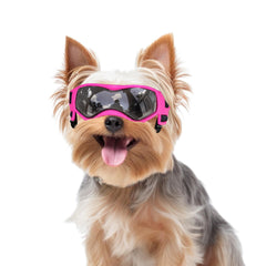PETLESO lunettes-protection-chien-petit-rose-UV, réglables pour confort en extérieur
