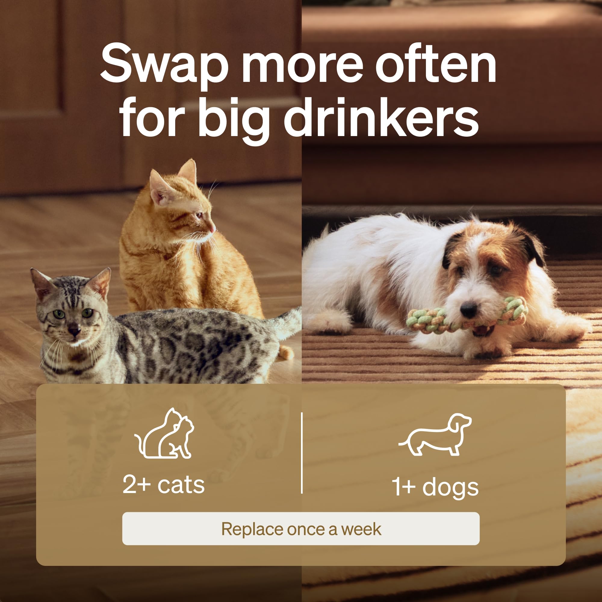 Option abonnement PETLIBRO pour recevoir les filtres régulièrement.