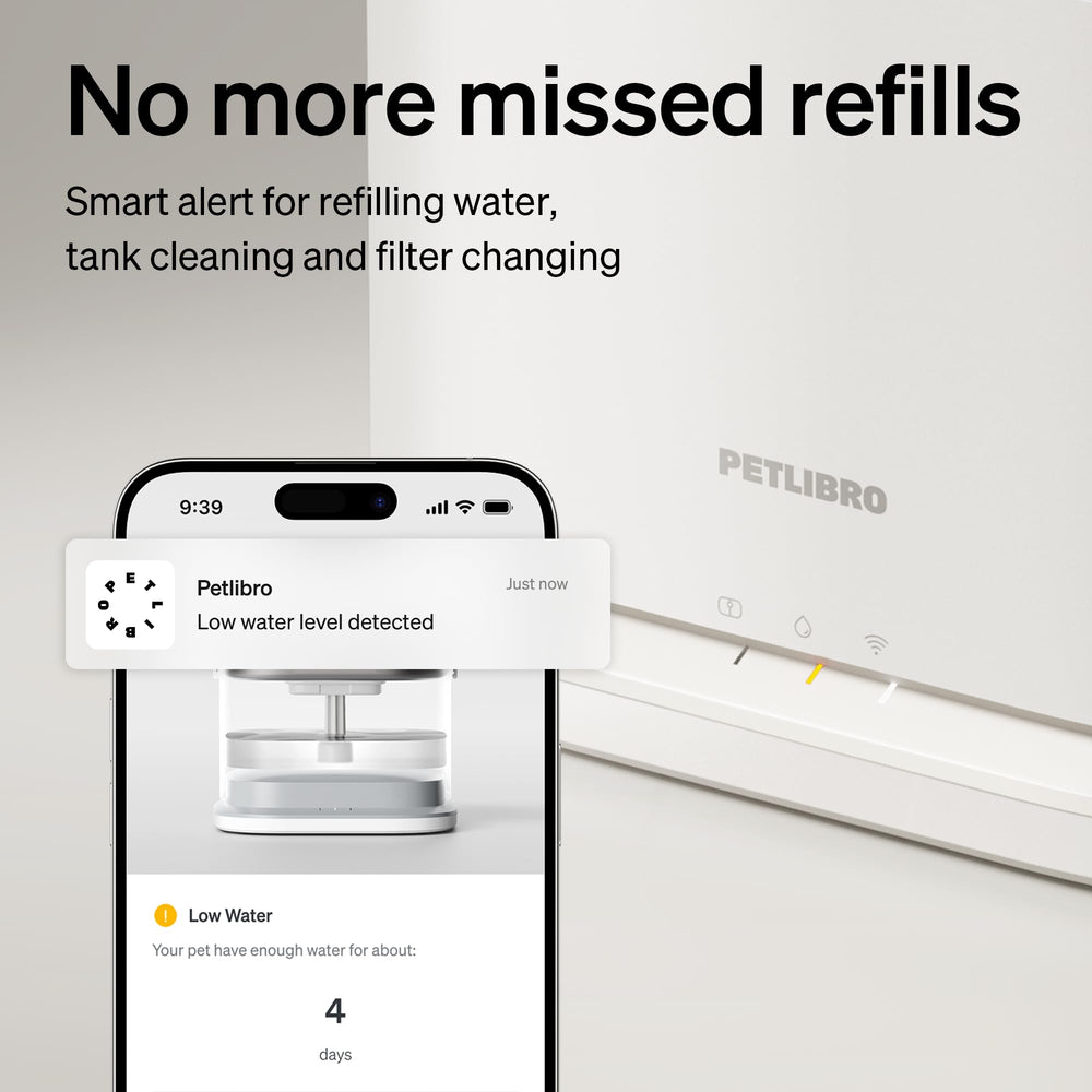 PETLIBRO application-surveillance-hydratation-chat: accès rapide aux habitudes d’hydratation.
