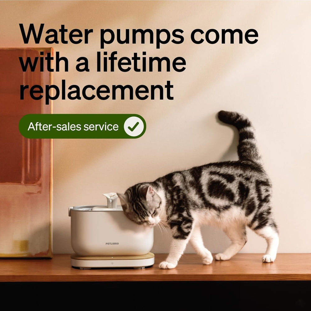 PETLIBRO détection de niveau d'eau, arrêt automatique pour sécurité.