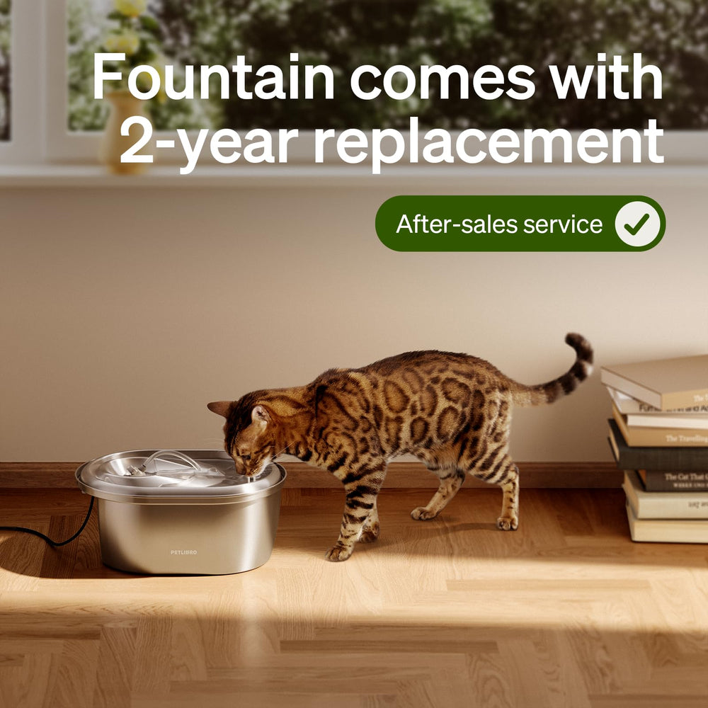 PETLIBRO entretien filtre chat inox, nettoyage rapide et usage prolongé.