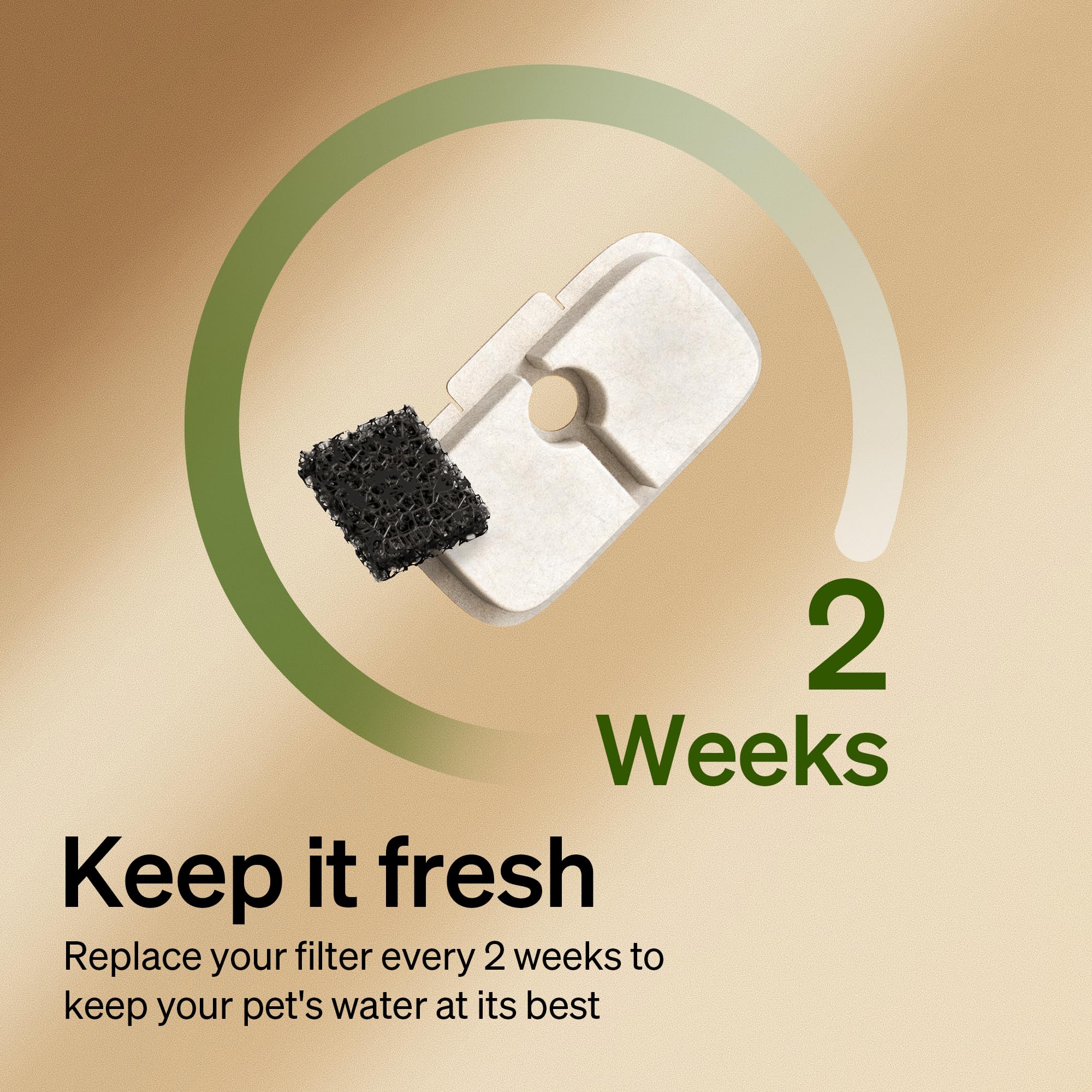 Filtre PETLIBRO 4 couches carbone actif pour meilleure eau.