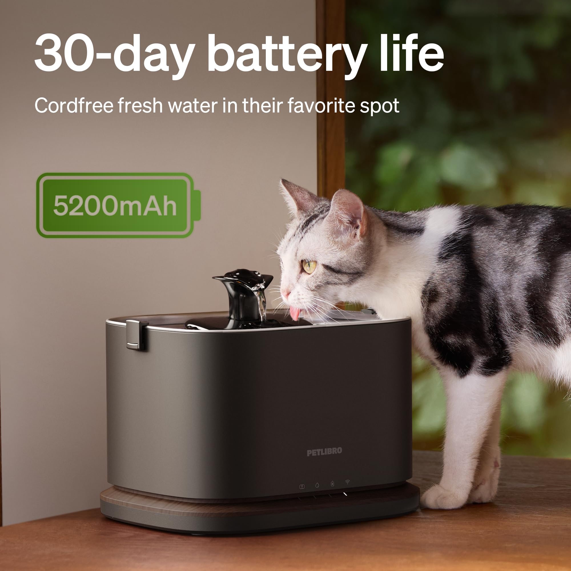 PETLIBRO fontaine chat batterie portable, boire loin des prises.