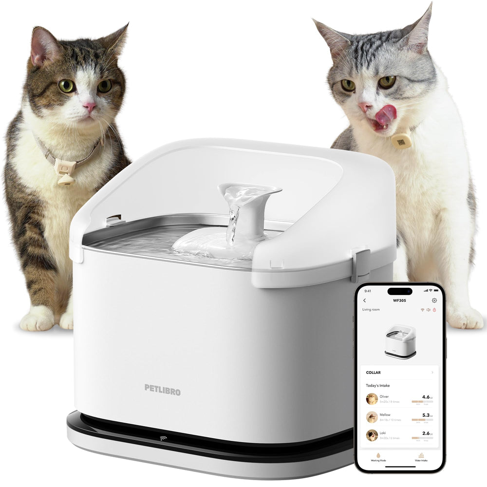 PETLIBRO fontaine RFID avec reconnaissance par collier pour suivre l'hydratation des animaux