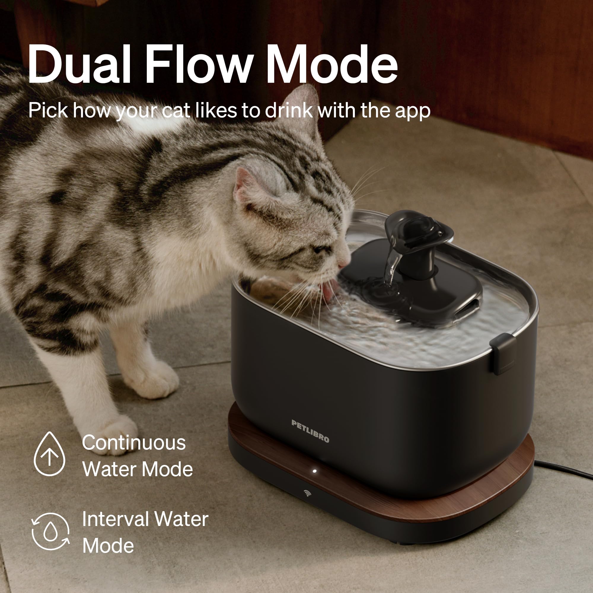 Suivi d’hydratation via l’application PETLIBRO avec alertes utiles.