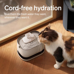 PETLIBRO fontaine eau chat batterie 5000mAh pour hydrater votre chat partout