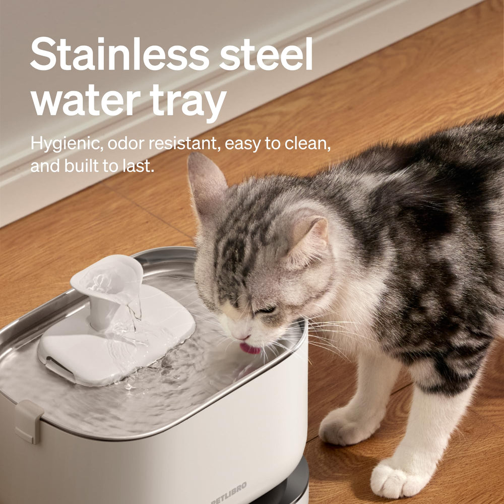 PETLIBRO fontaine eau chat réservoir amovible 2-5l, remplissage rapide