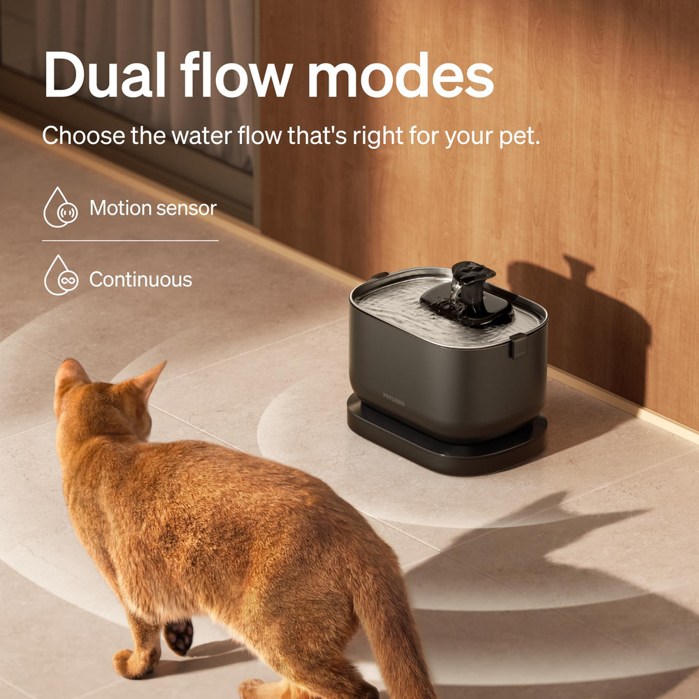 PETLIBRO fontaine-eau-chat-resine-echange-ionique réduit les impuretés et métaux.