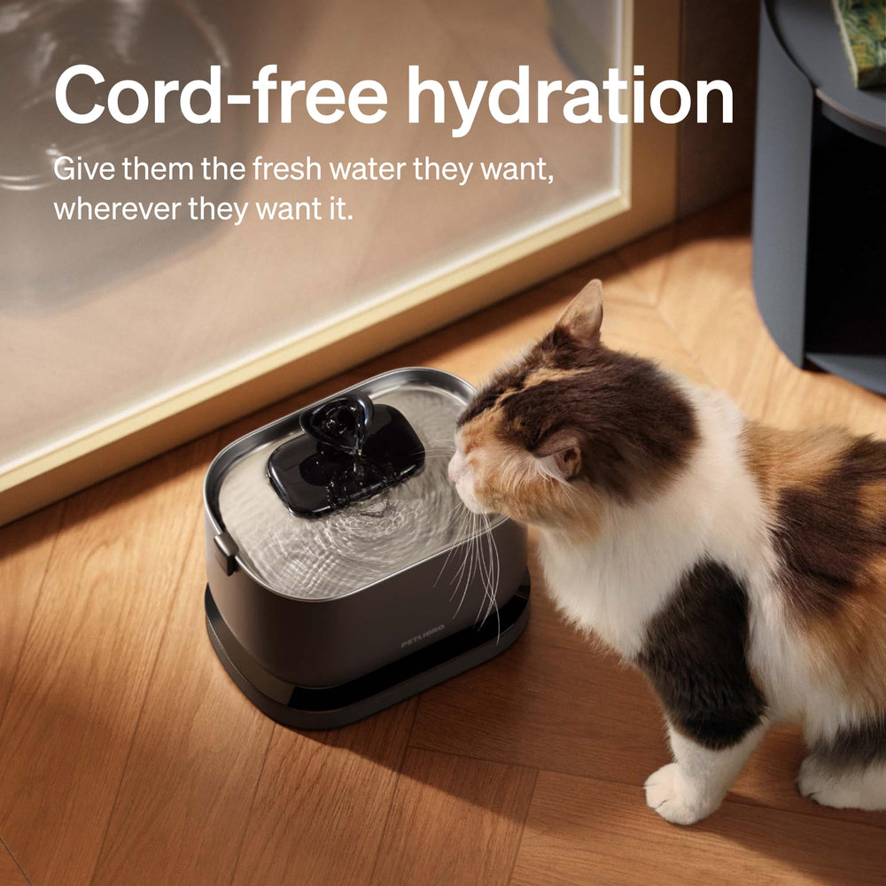 PETLIBRO fontaine-eau-chat-socle-de-recharge-sans-fil permet une utilisation libre sans fil.