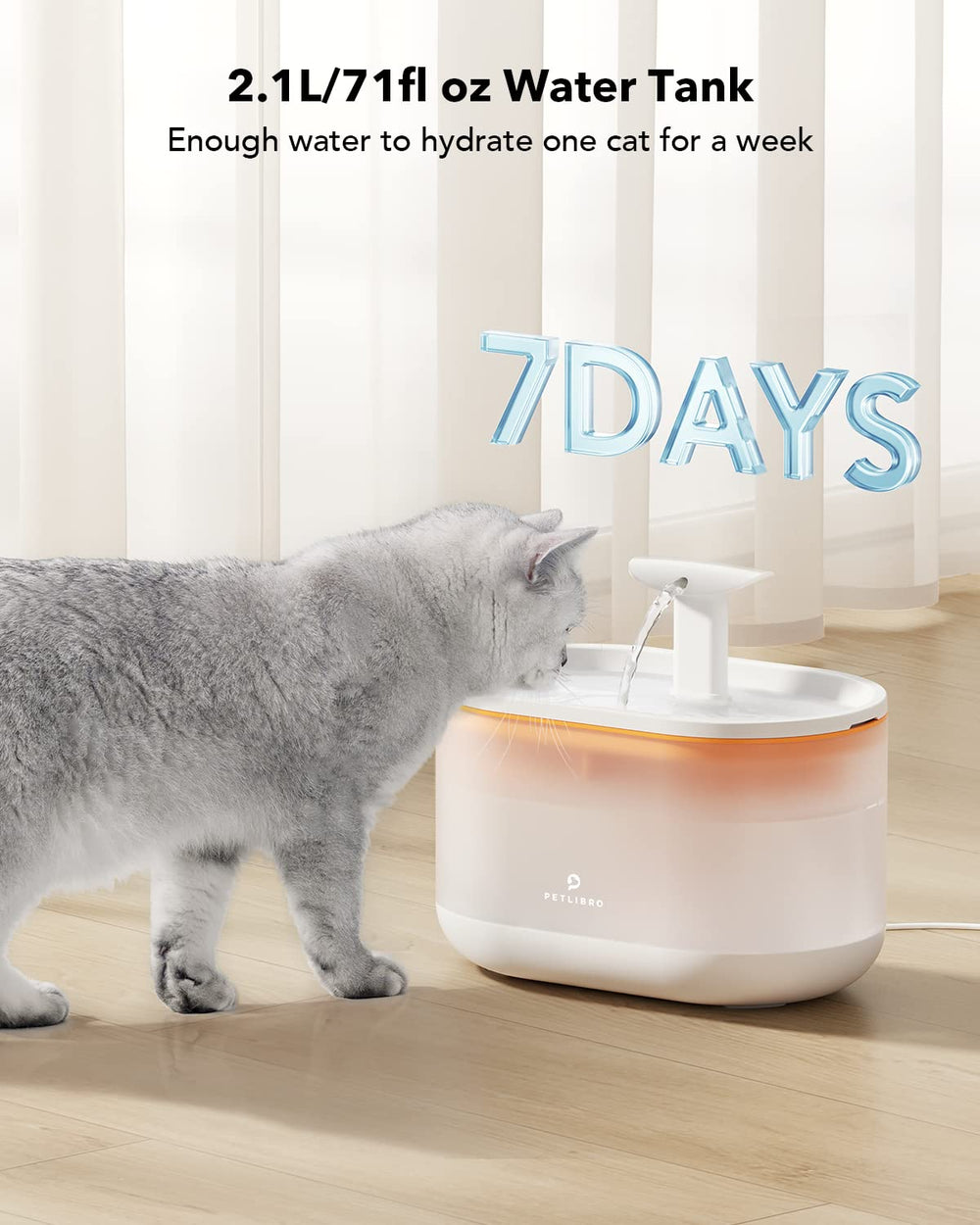 Utilisation multi-animaux PETLIBRO – fontaine adaptée à plusieurs chats