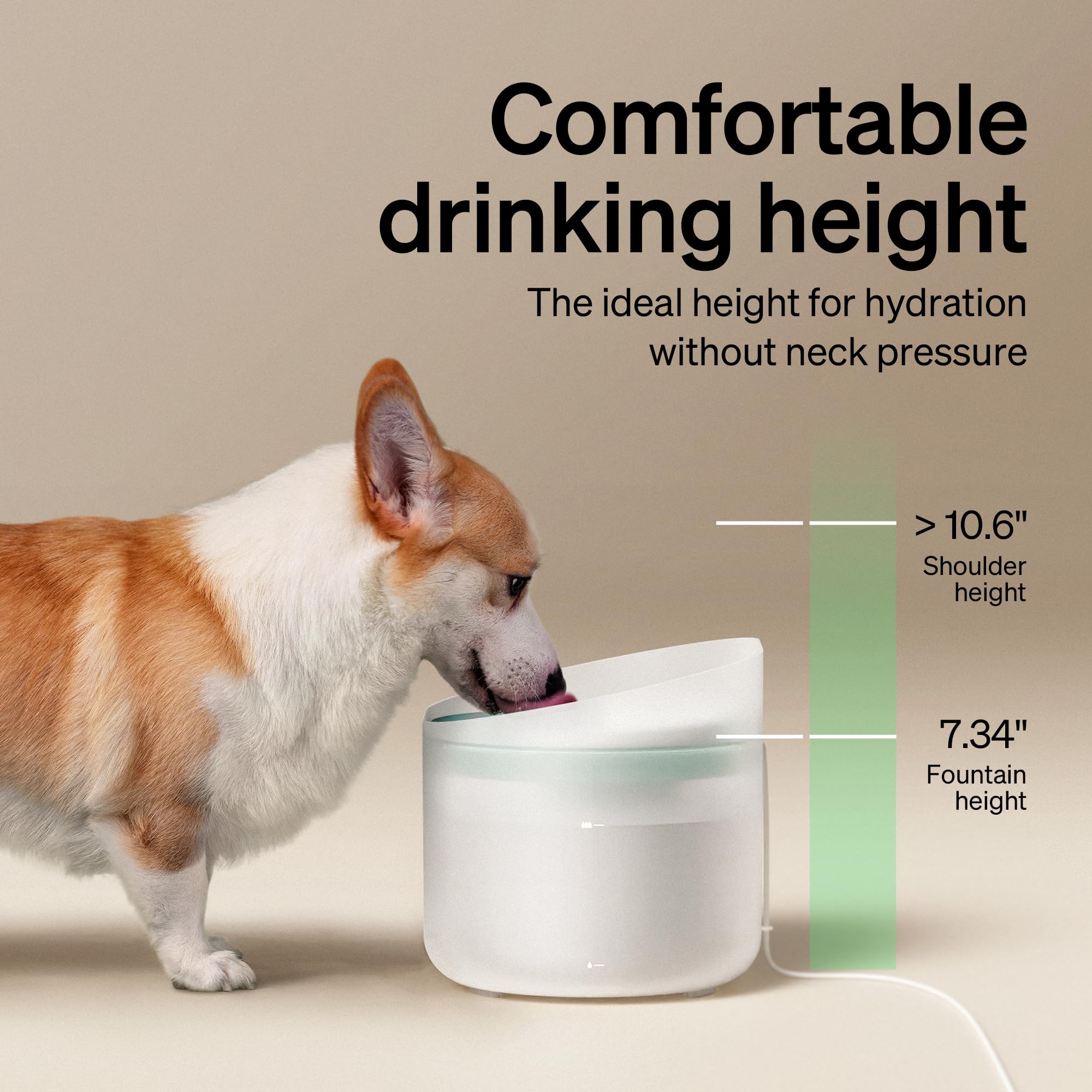 Lot pratique de 8 filtres PETLIBRO pour fontaine chien PLWF008.